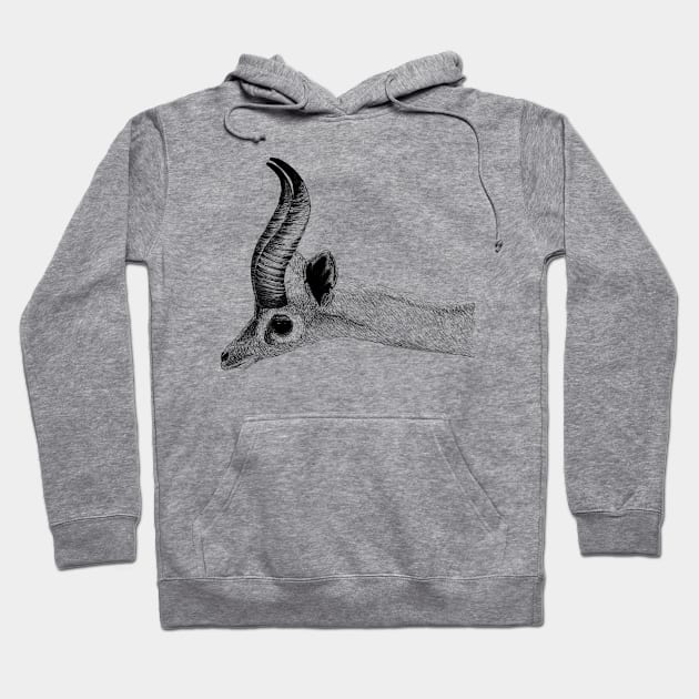 Souther Gerenuk Hoodie by jitkaegressy